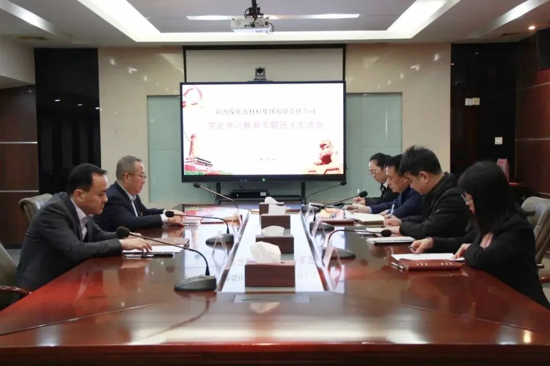 陕煤新材集团召开党史学习教育专题民主生活会