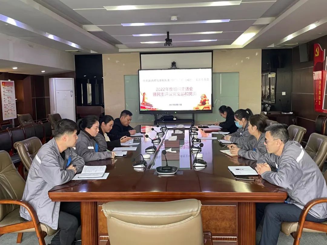 陕煤新材集团各基层党组织召开2022年度组织生活会